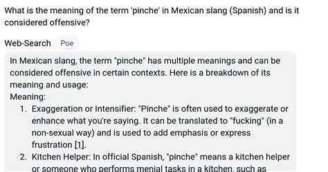 meaning of pinche in spanish